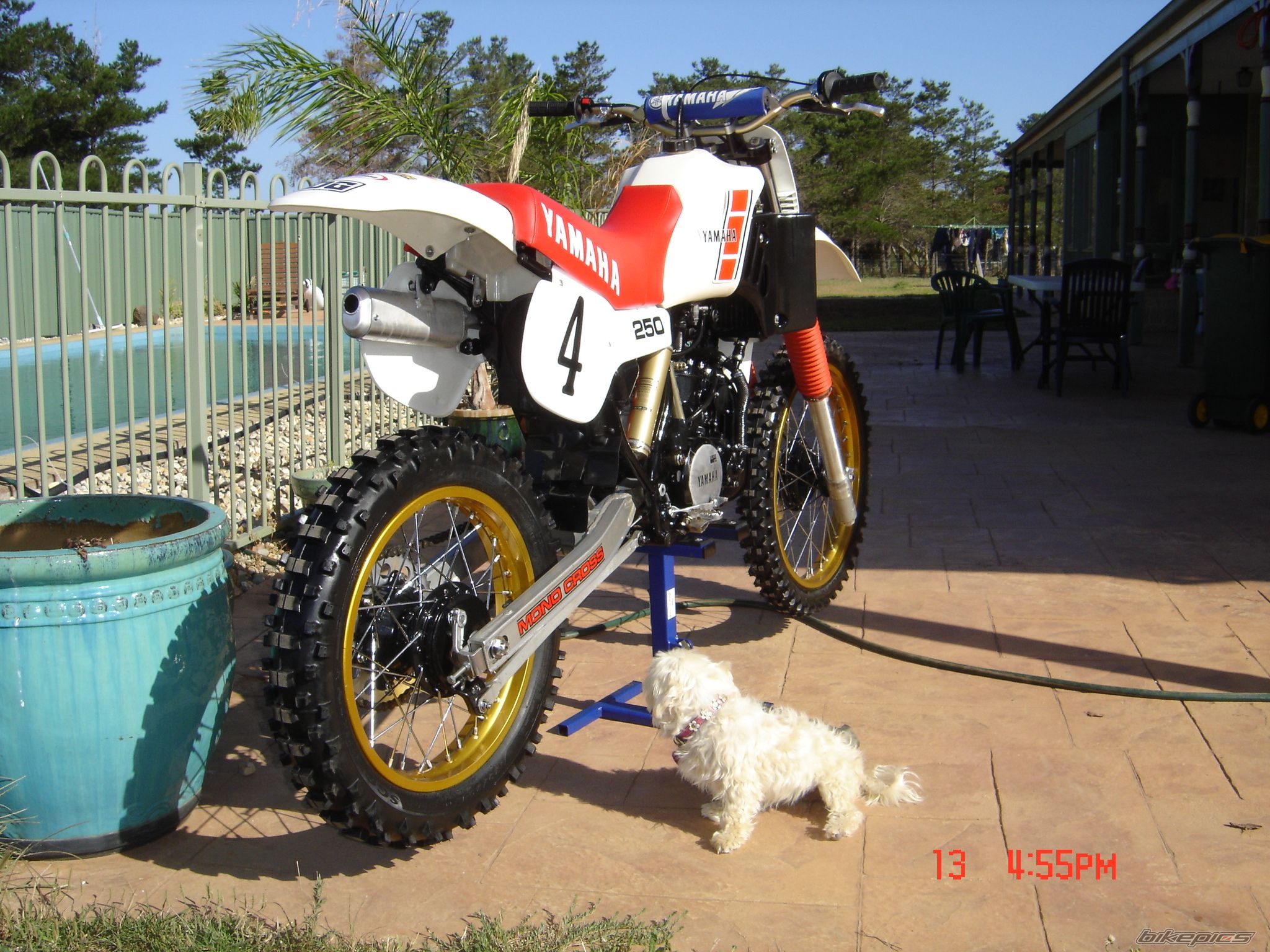 Photo 1278751