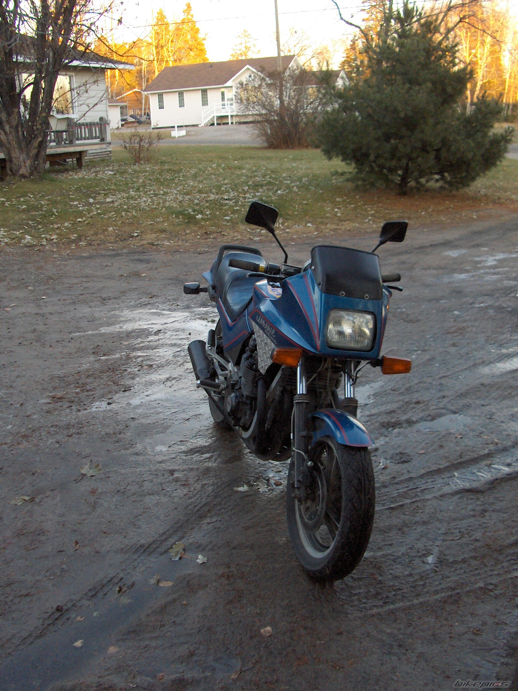 Photo 1278764