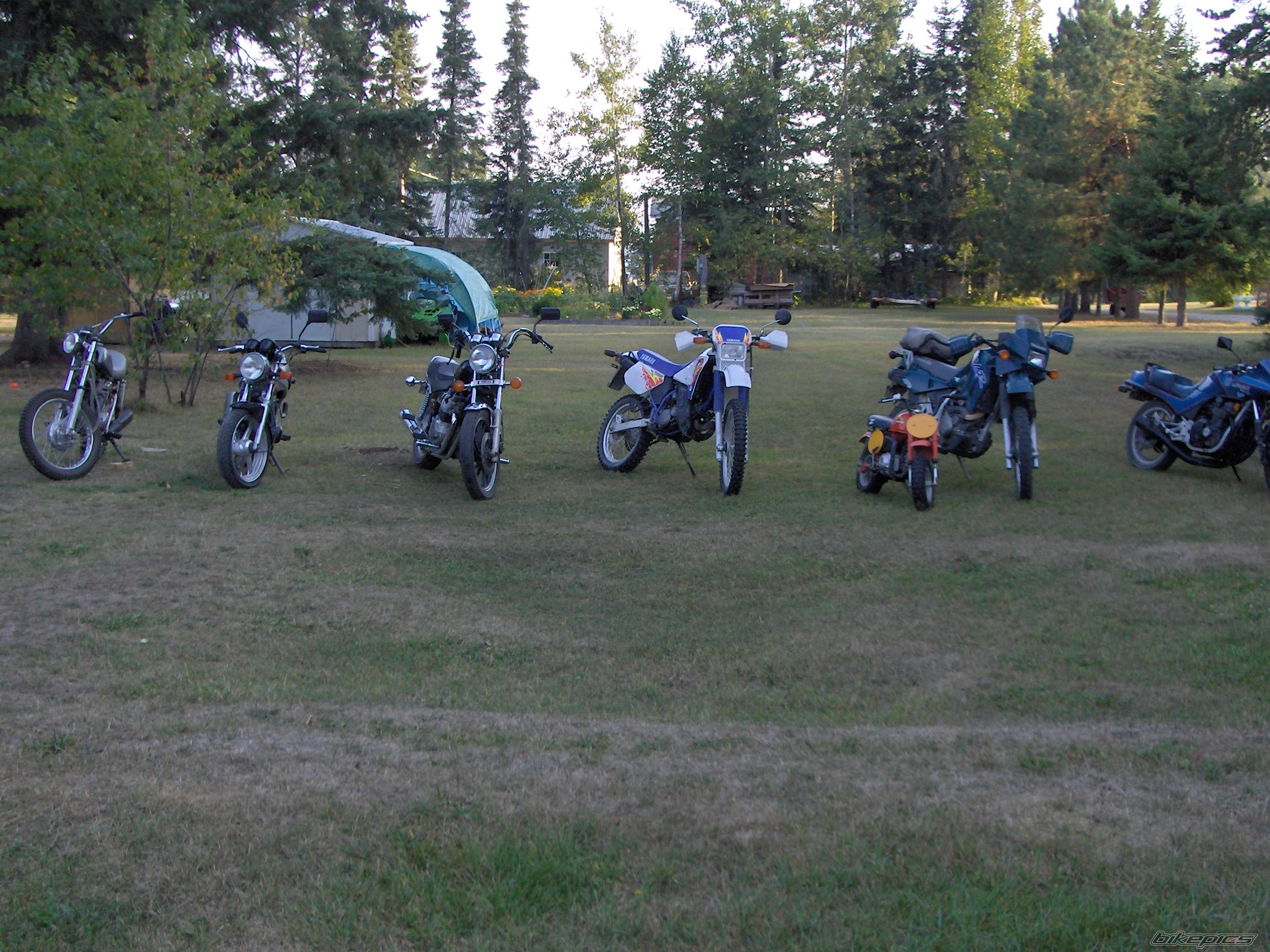 Photo 1278768