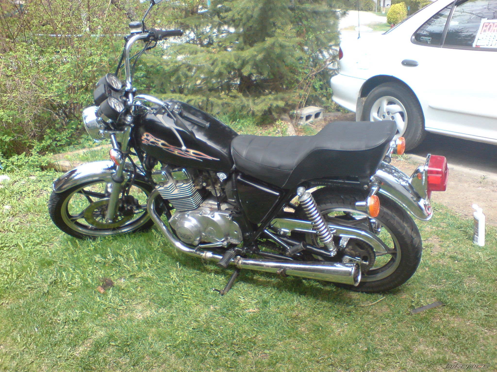 Photo 1278782