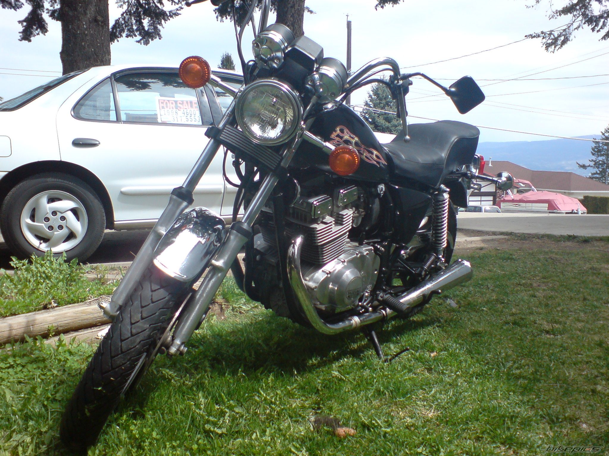 Photo 1278784
