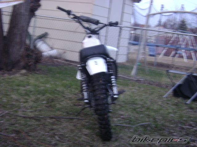 Photo 1278794