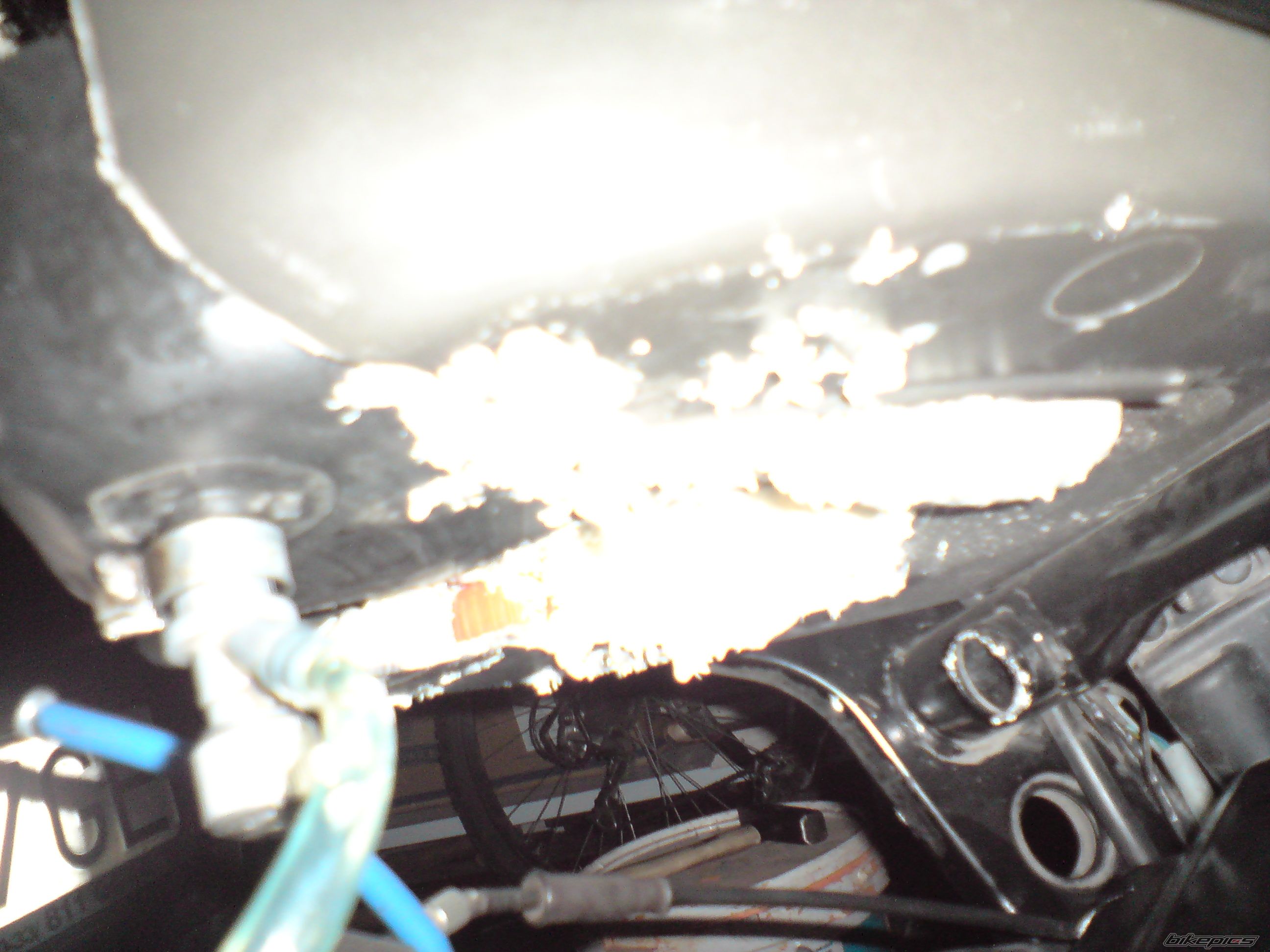 Photo 1278859