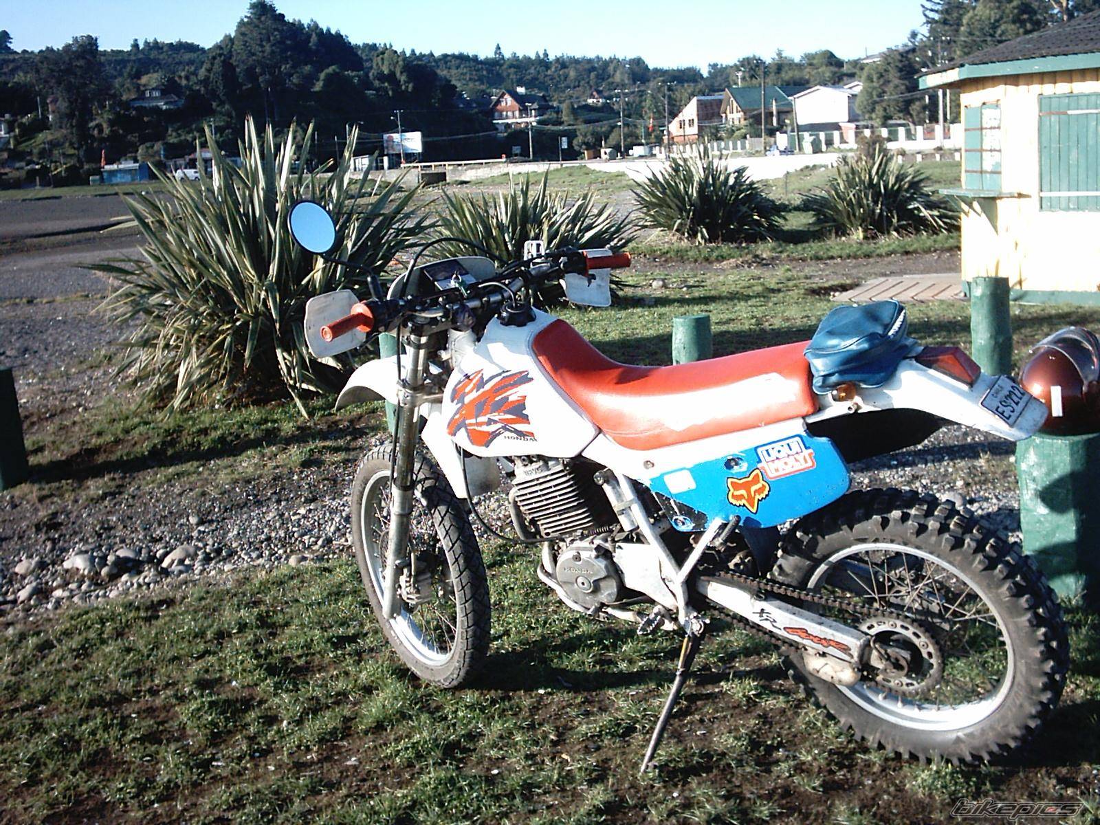 Photo 127887
