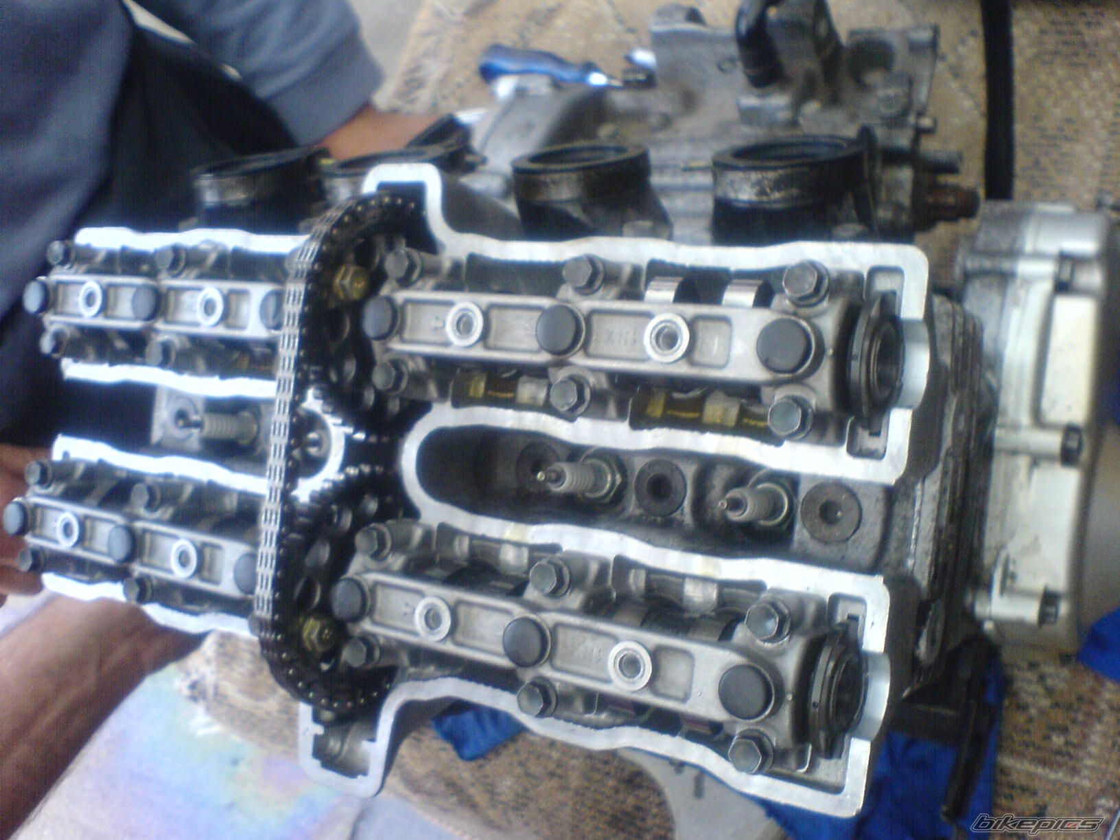 Photo 1278871