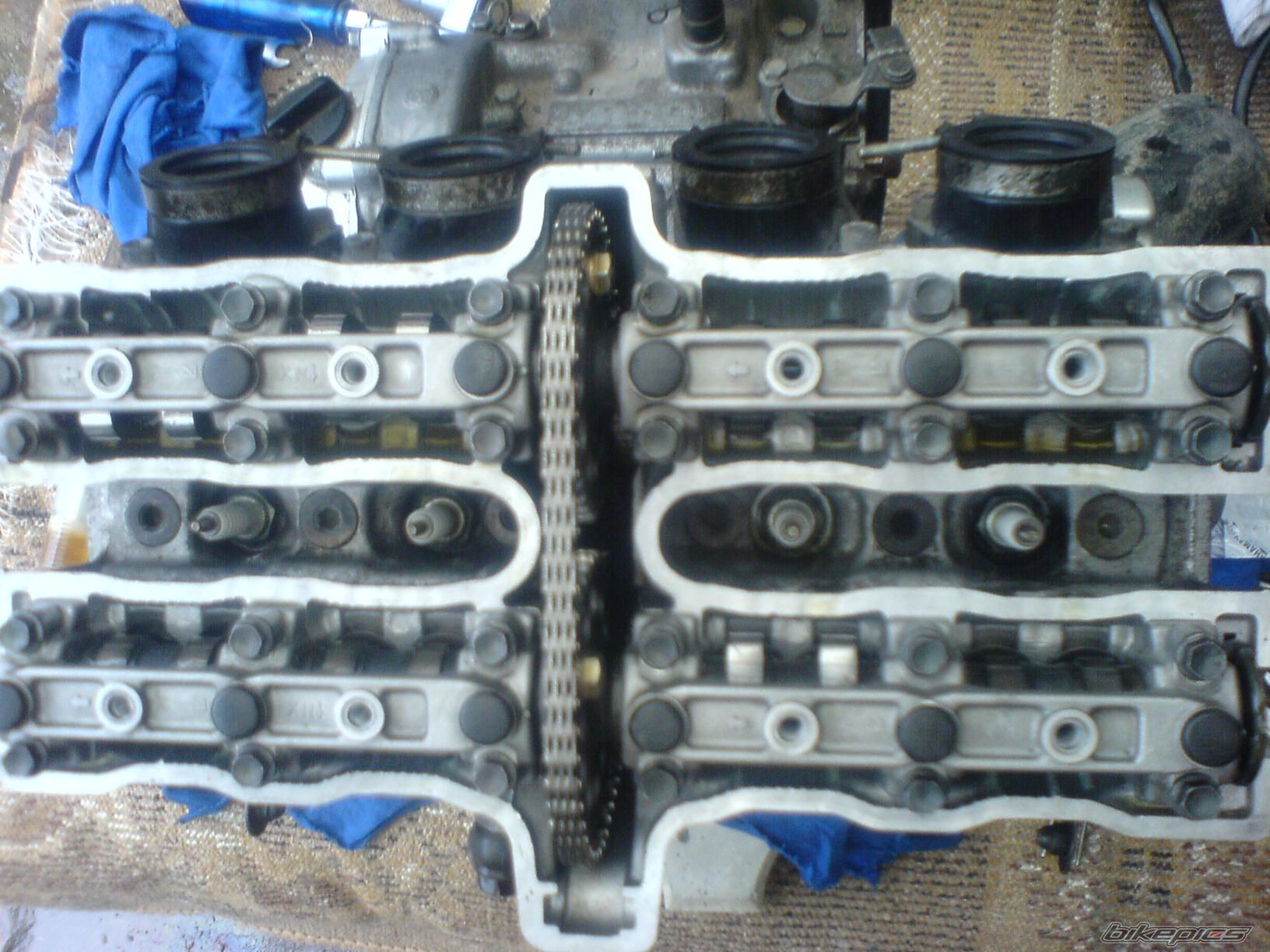 Photo 1278872