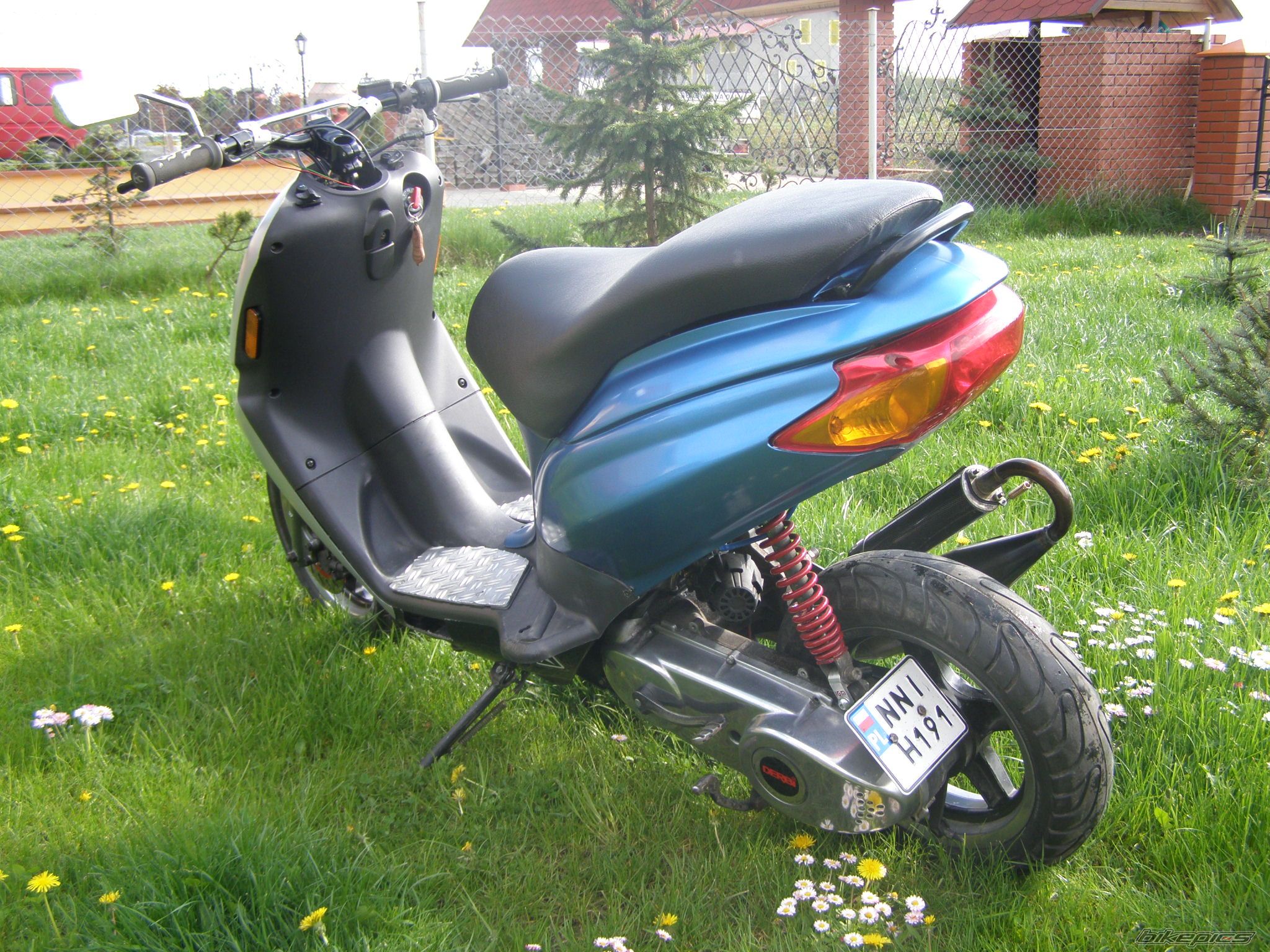 Photo 1278873