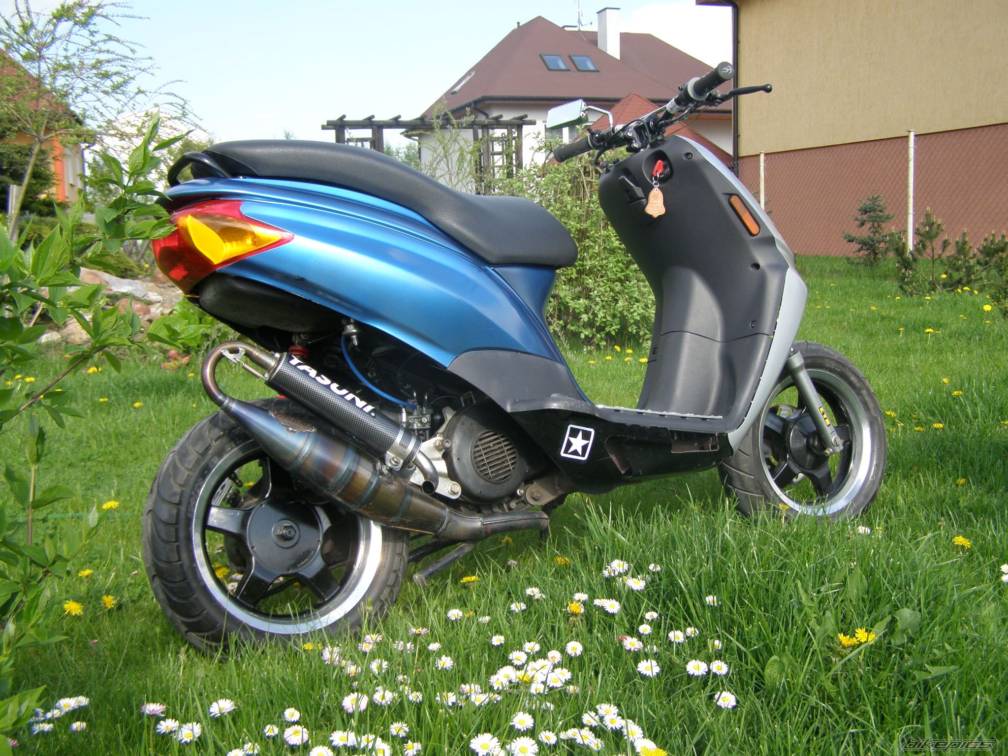 Photo 1278877