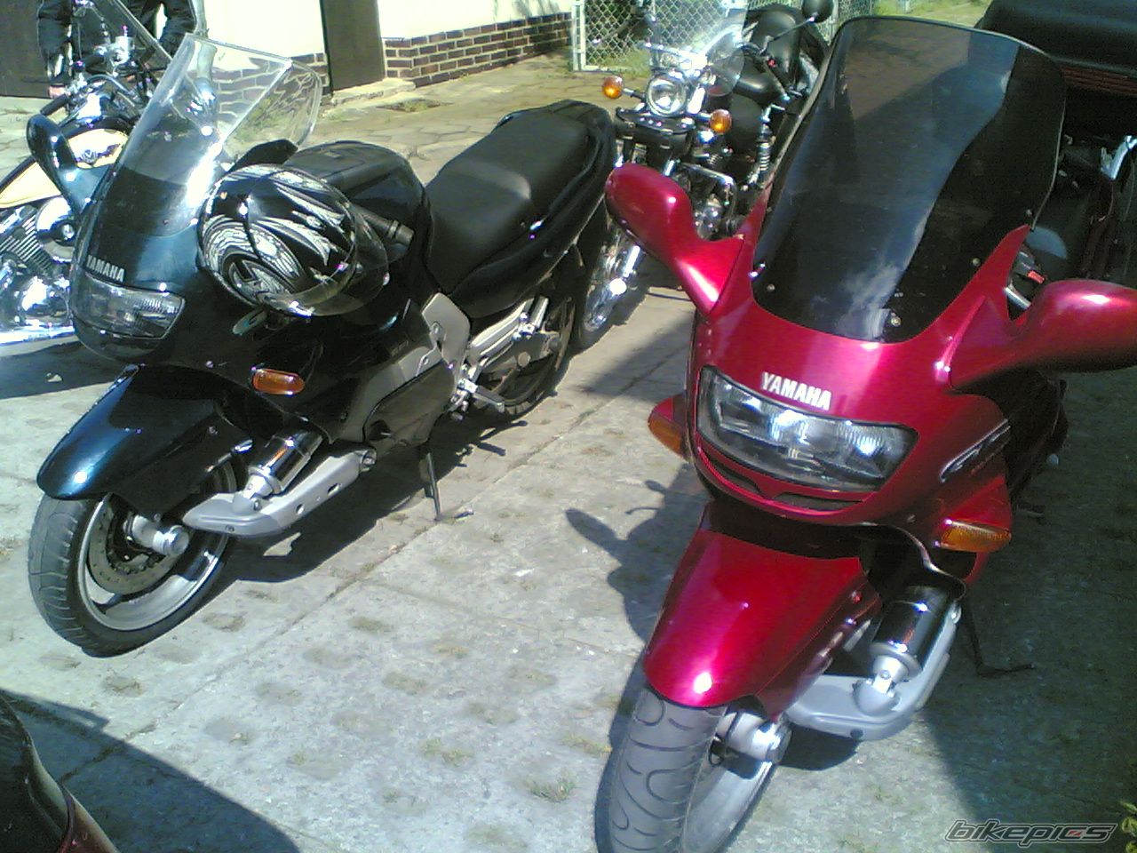 Photo 1278903