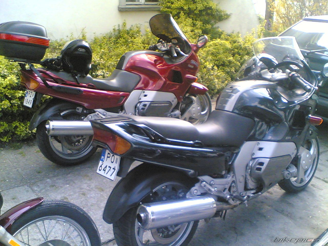 Photo 1278904
