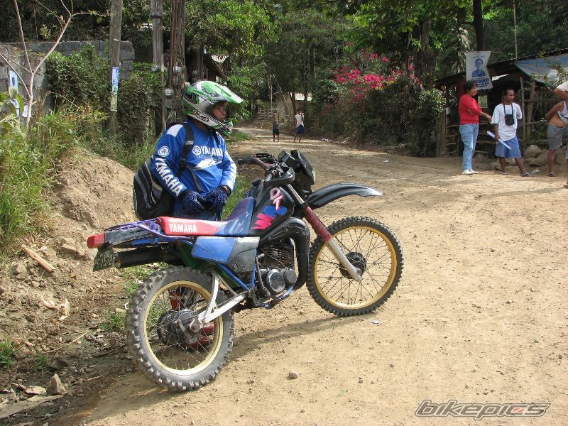 Photo 1278973