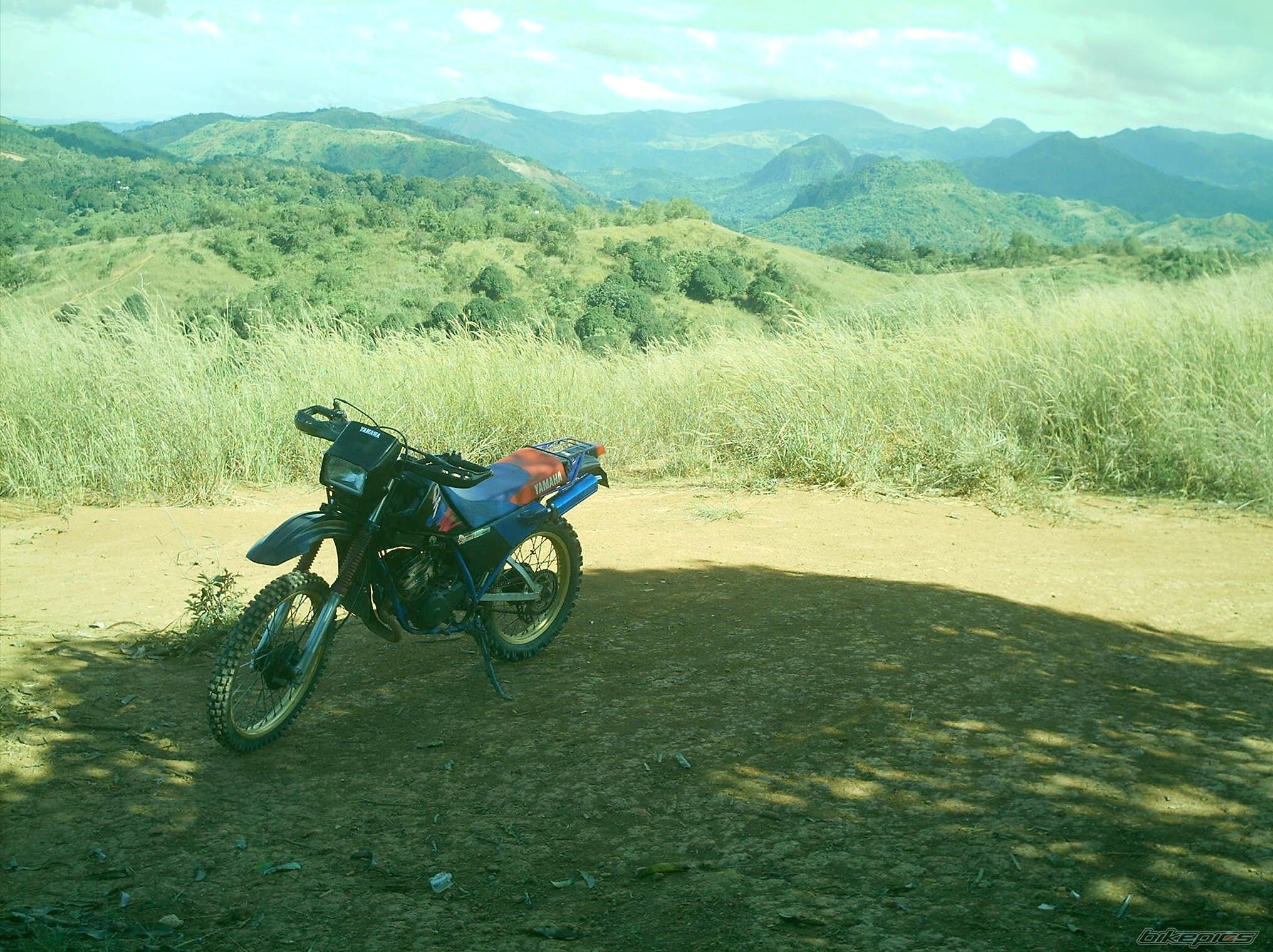 Photo 1278992