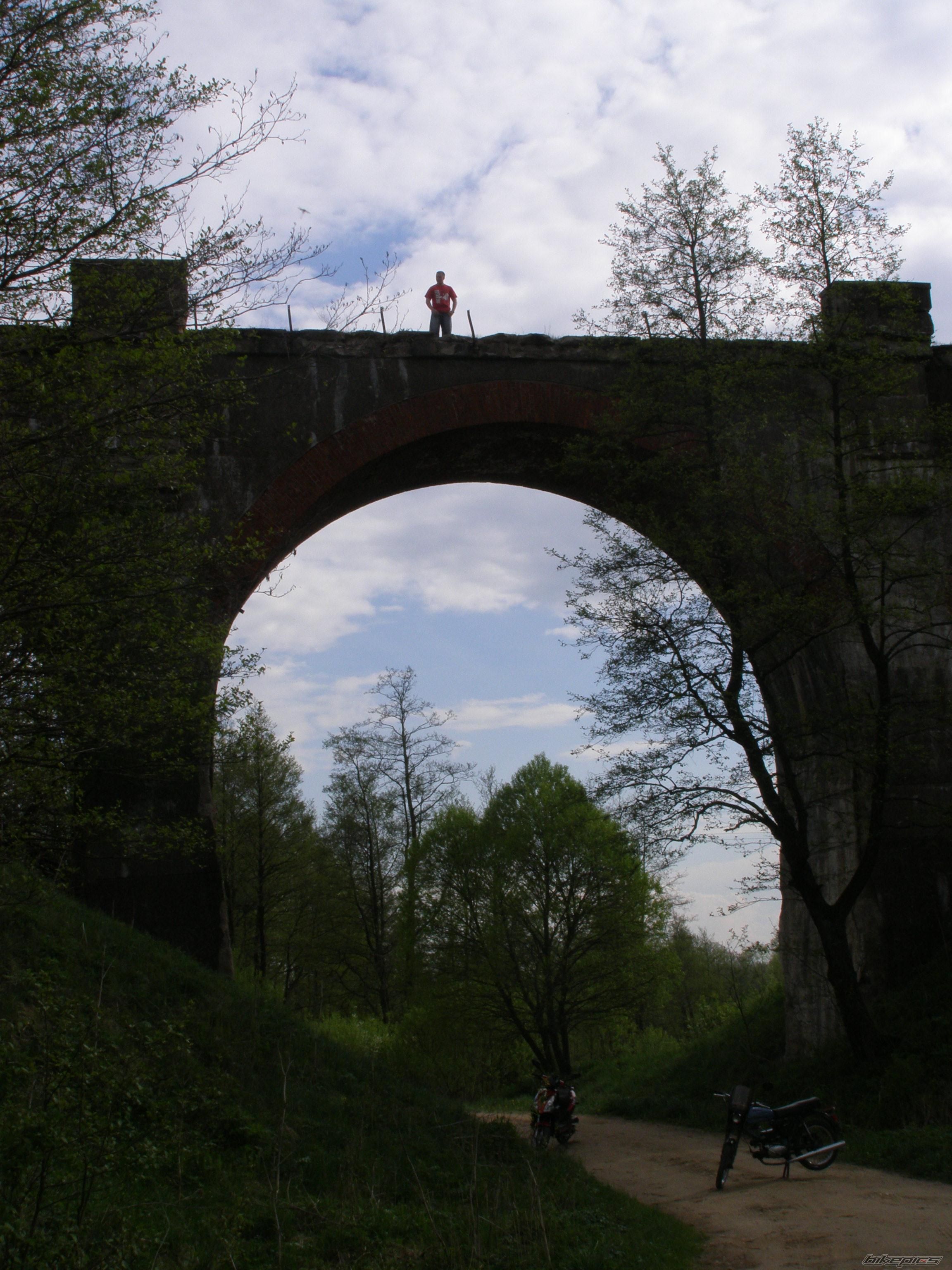 Photo 1279016