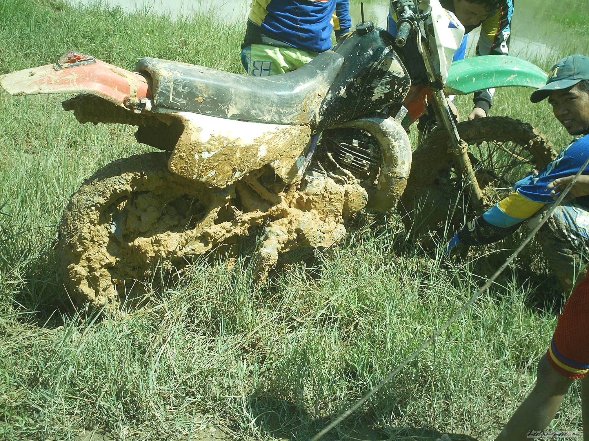 Photo 1279043