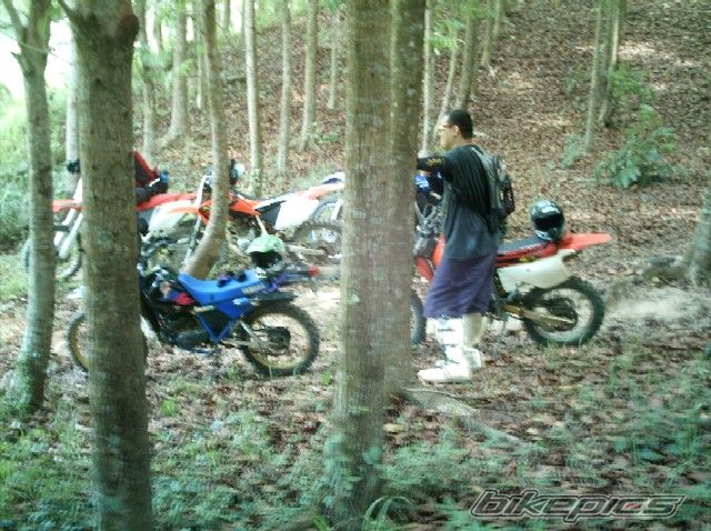 Photo 1279077