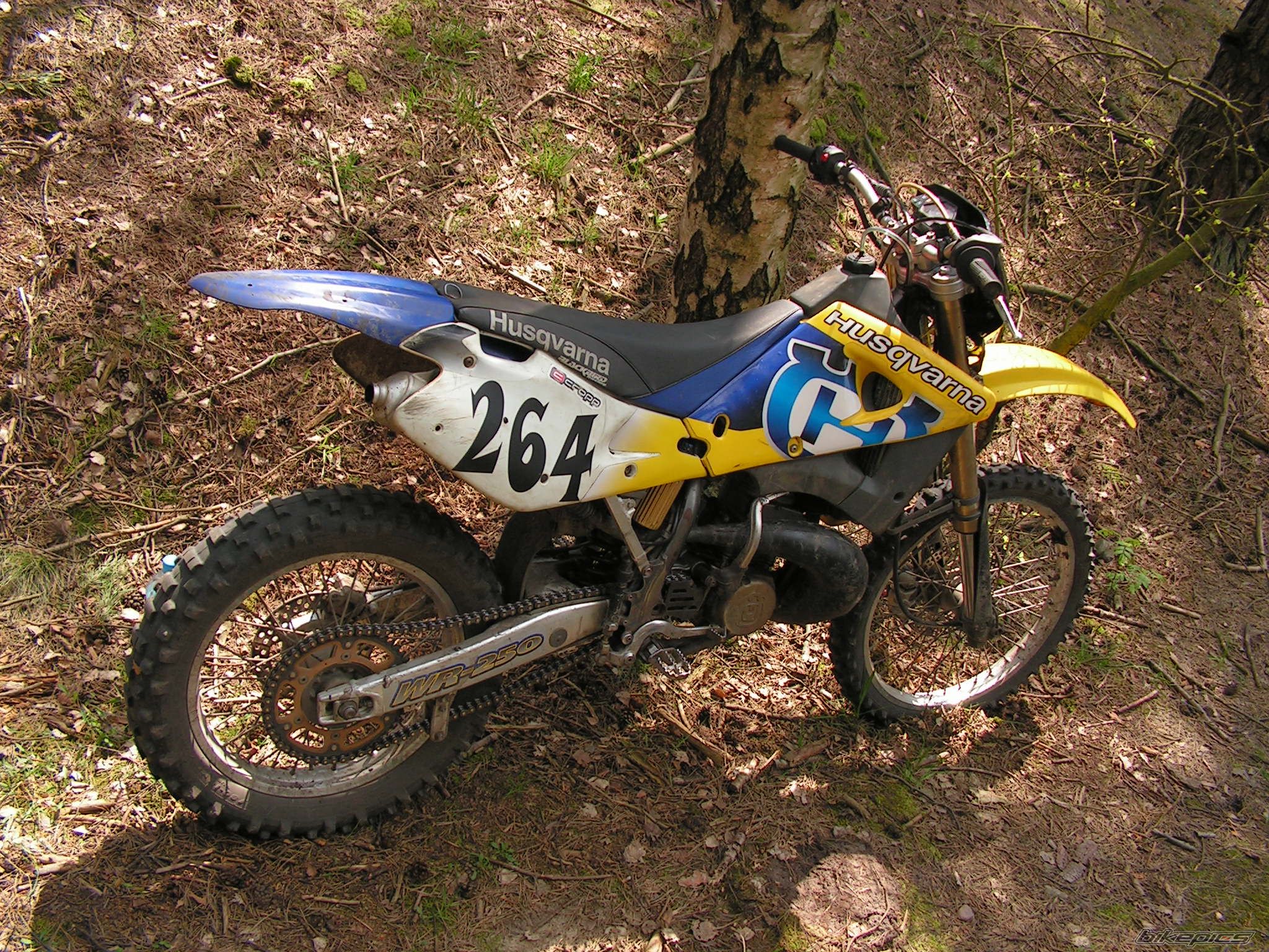 Photo 1279169