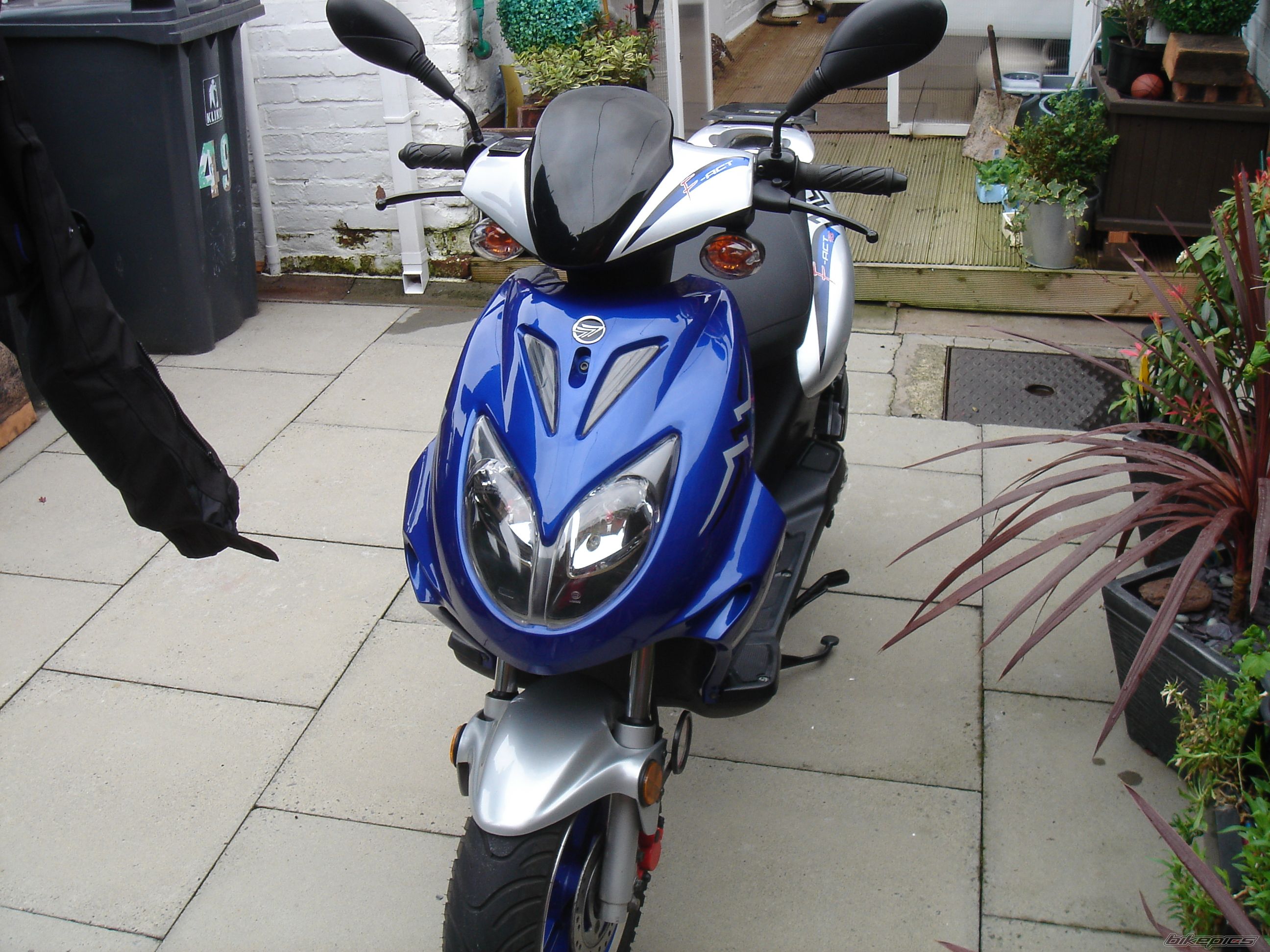 Photo 1279216