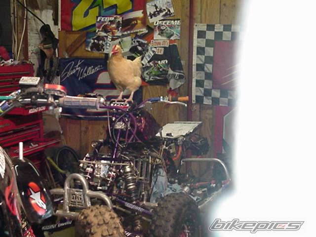 Photo 127922