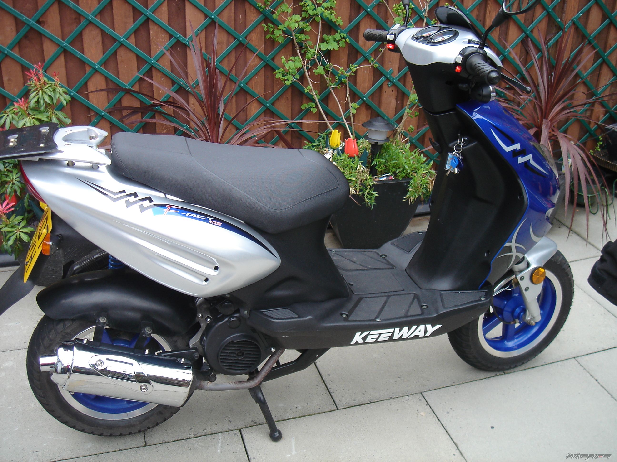 Photo 1279233