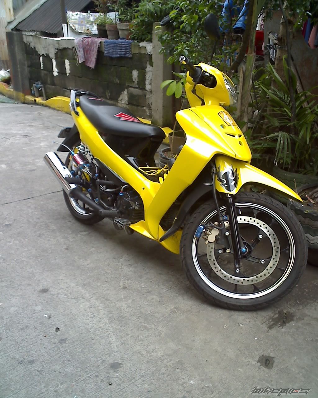 Photo 1279248