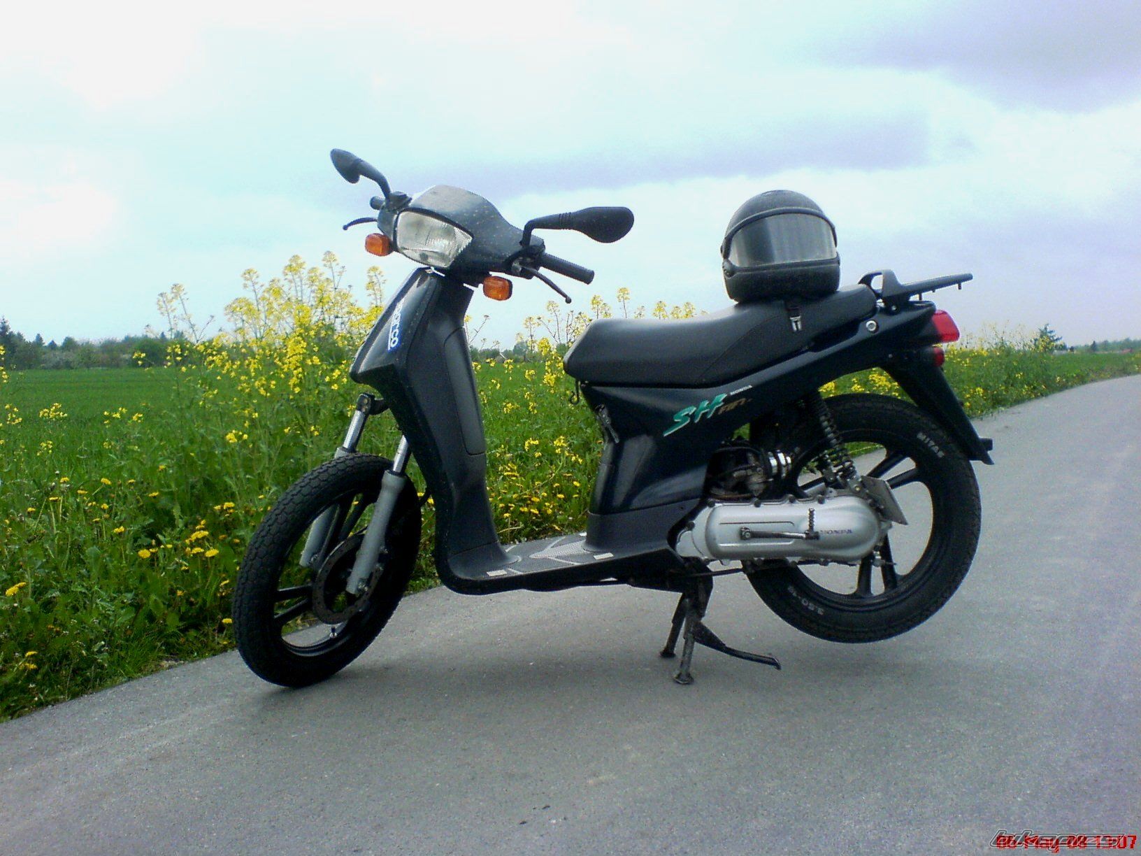 Photo 1279262