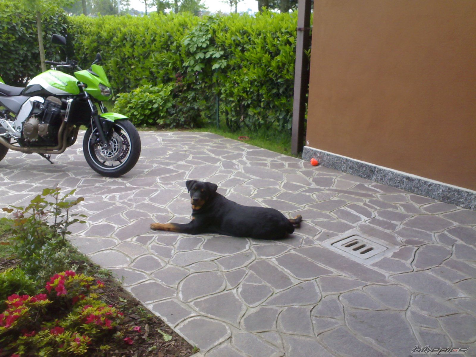 Bike Photo 1279271