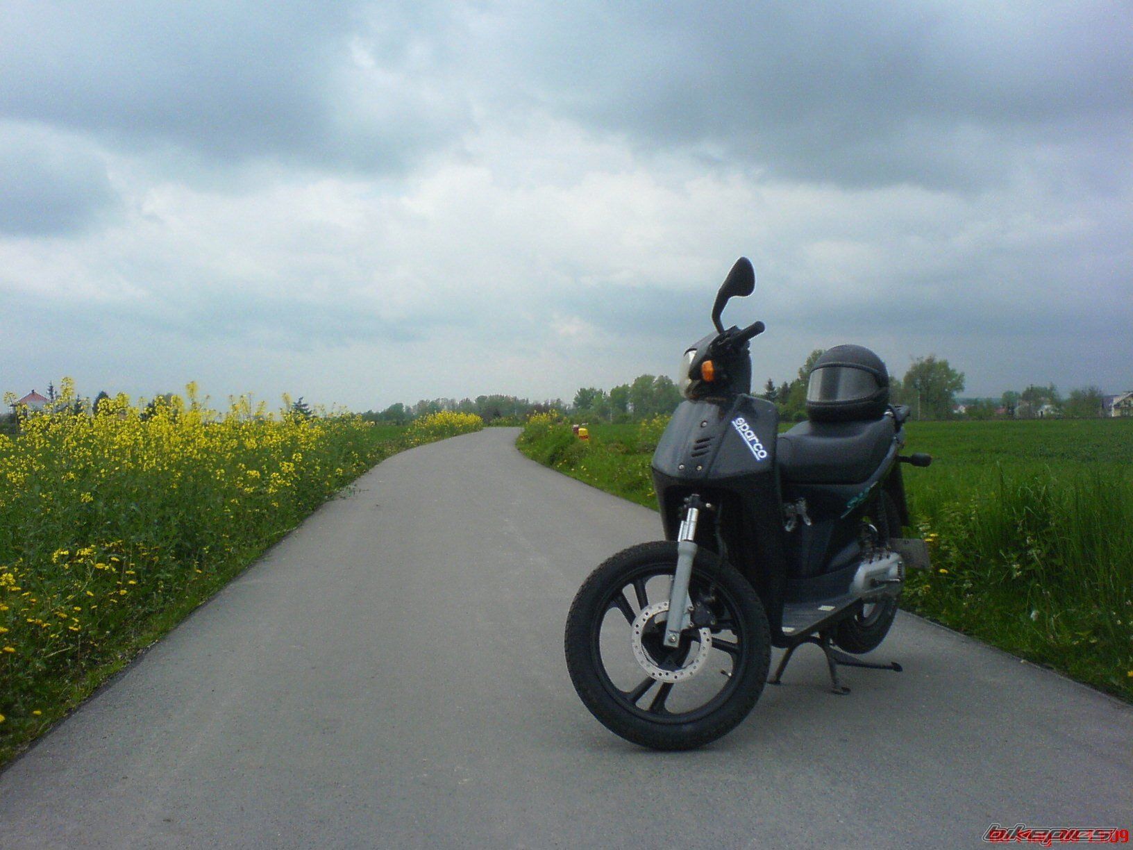 Photo 1279280