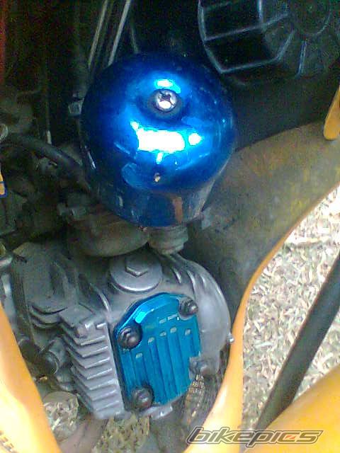 Photo 1279284