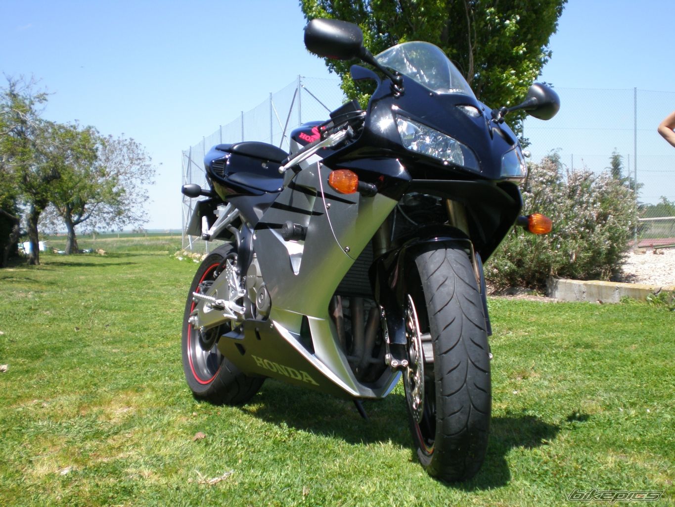 Photo 1279348