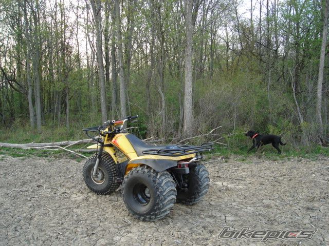 Photo 1279350