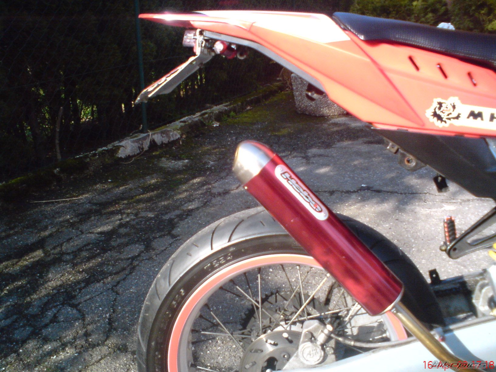 Photo 1279428
