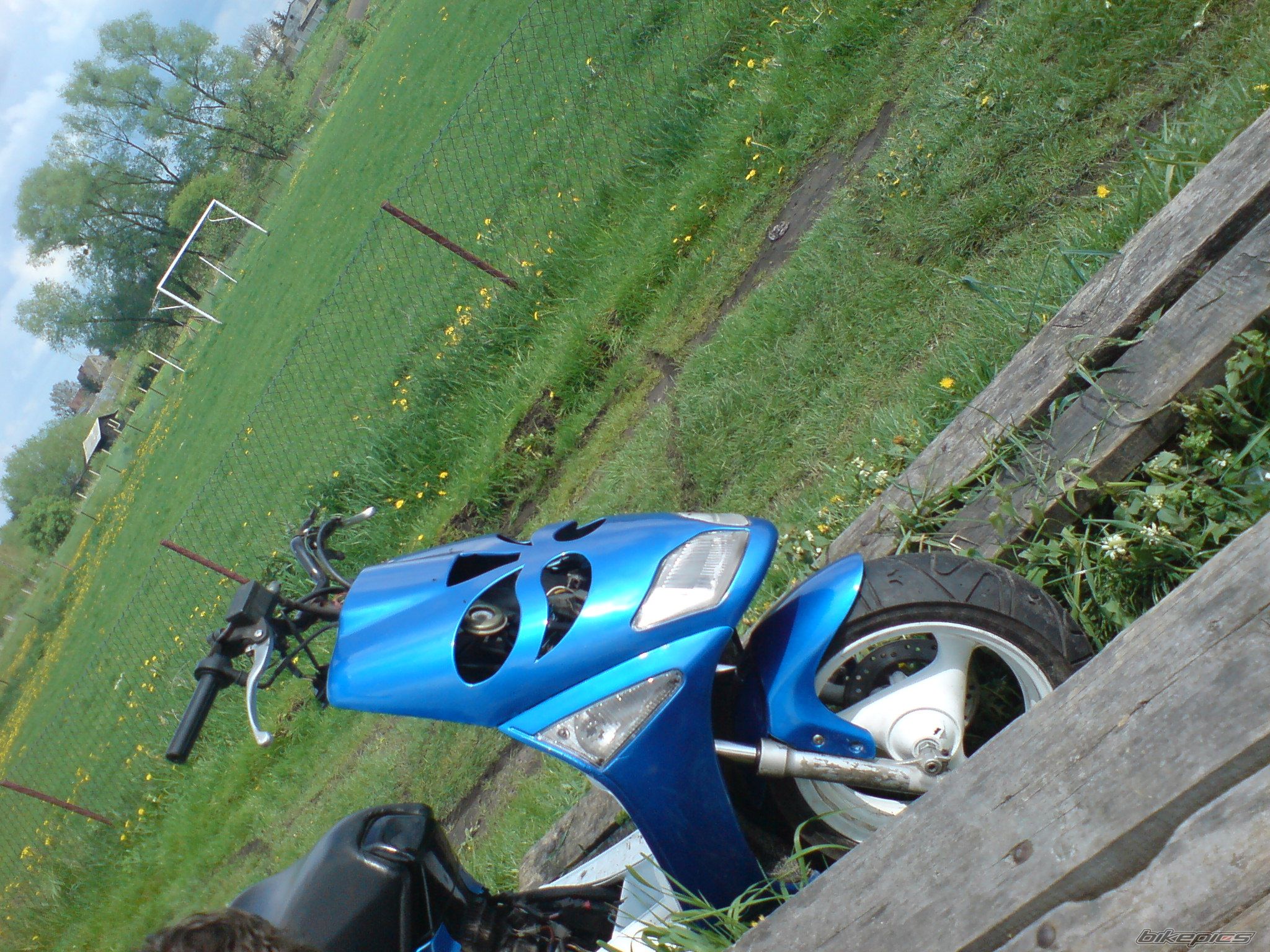 Photo 1279441