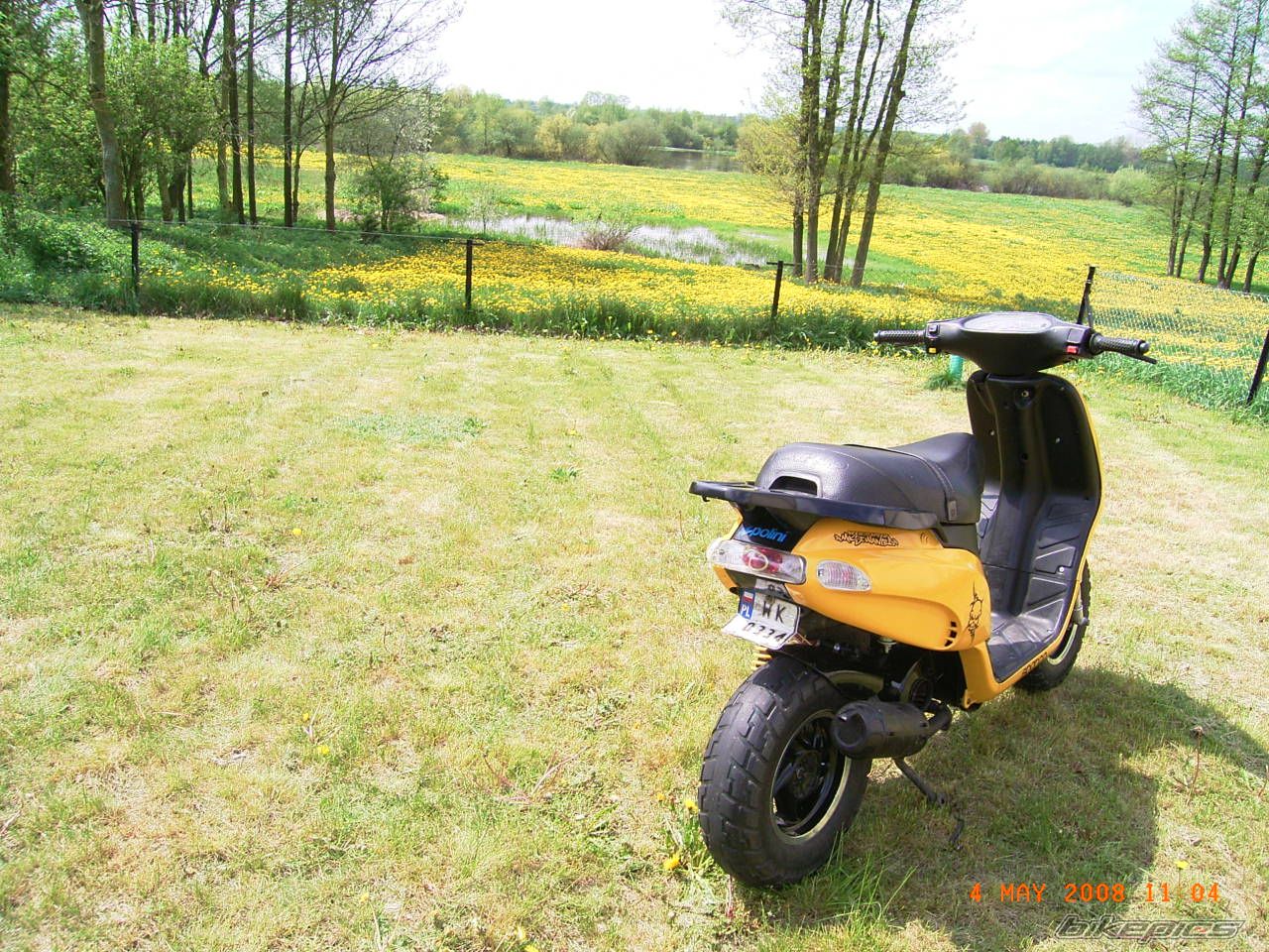 Photo 1279442