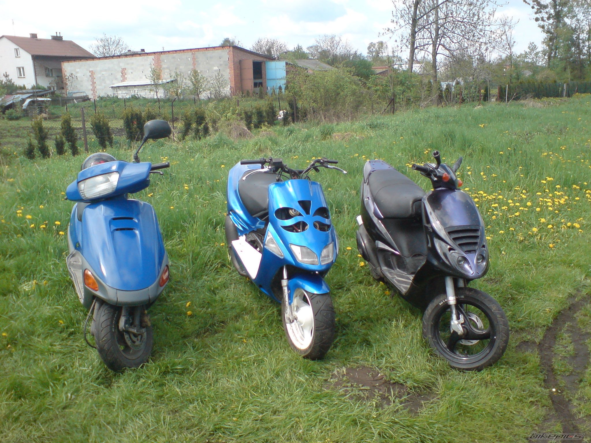 Photo 1279443