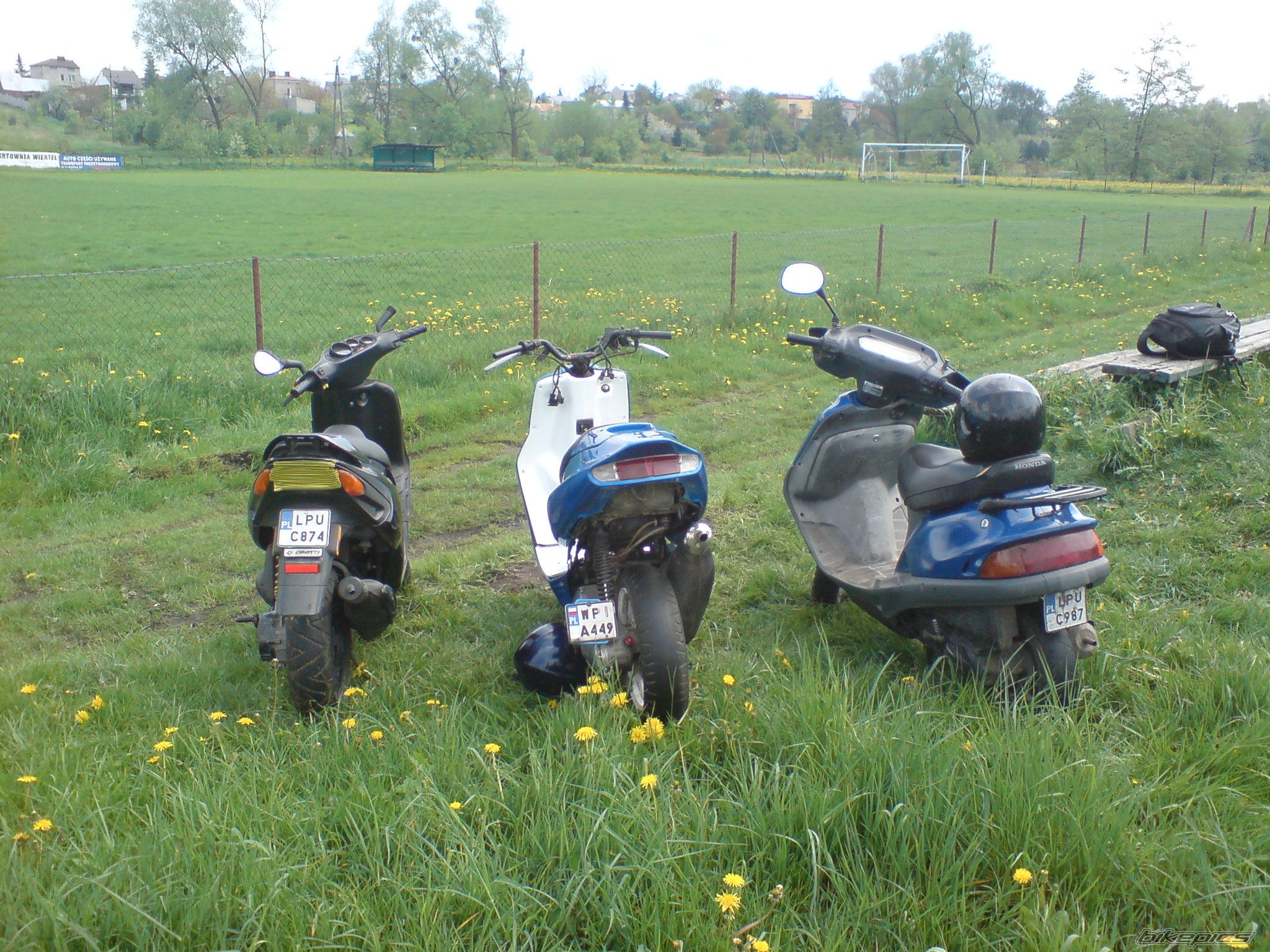 Photo 1279445