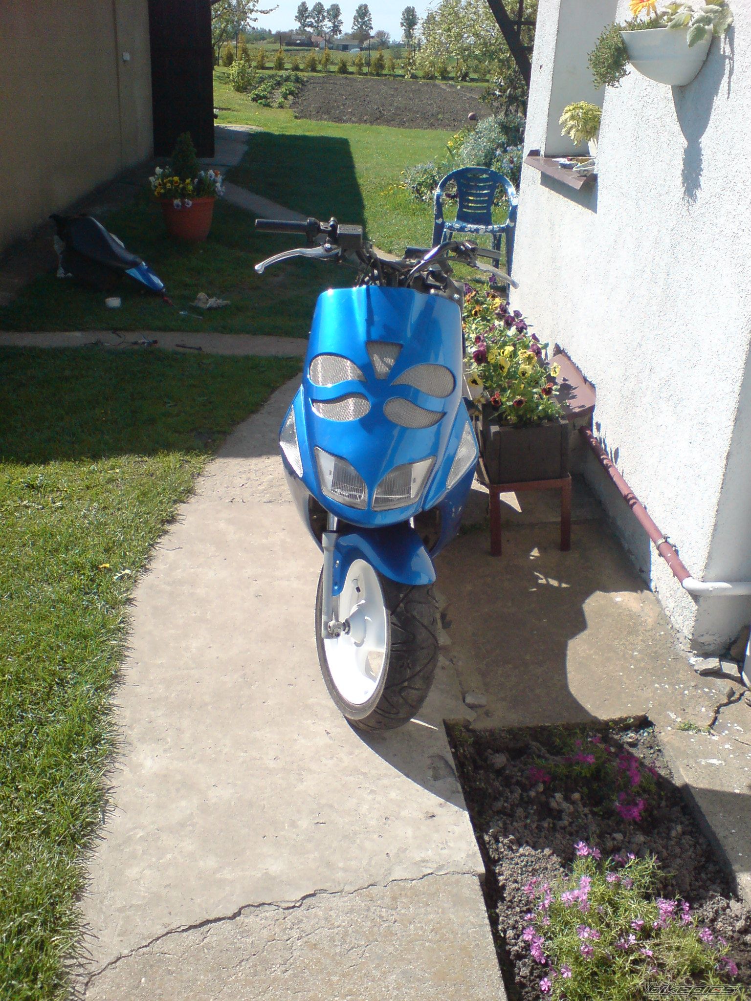Photo 1279446
