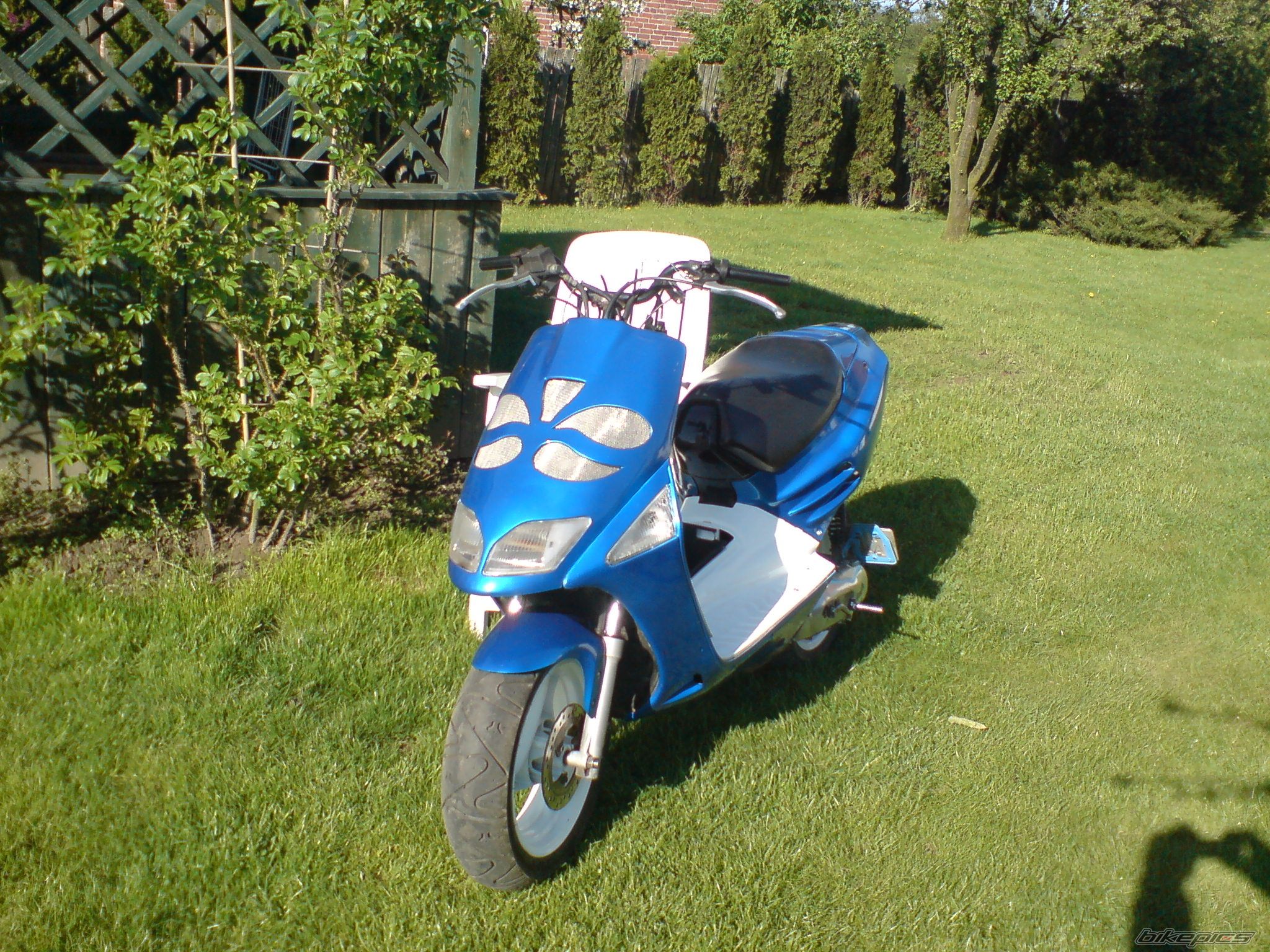 Photo 1279447