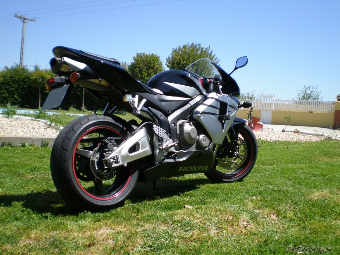 Photo 1279453
