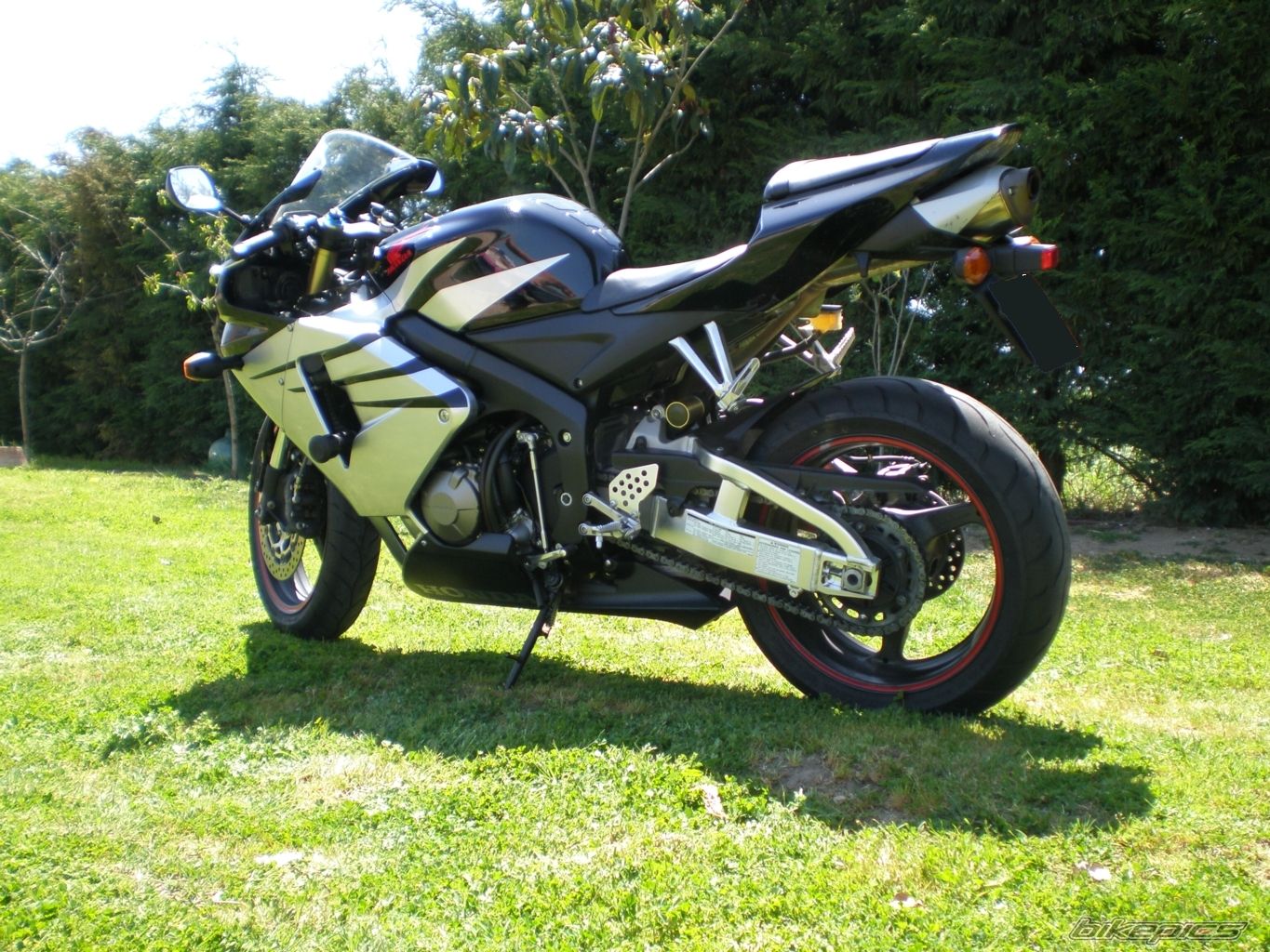 Photo 1279454