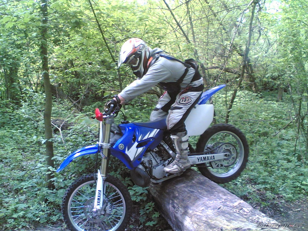 Photo 1279459