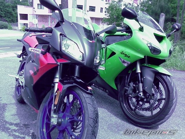 Photo 1279494