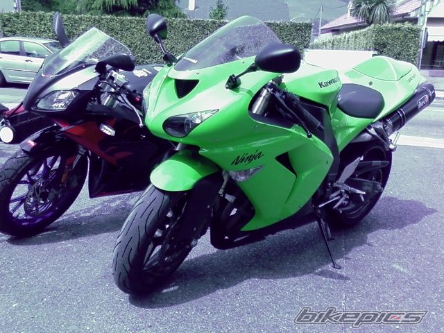 Photo 1279495
