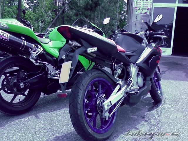 Photo 1279496