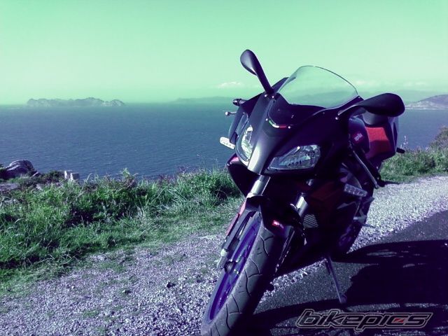 Photo 1279499