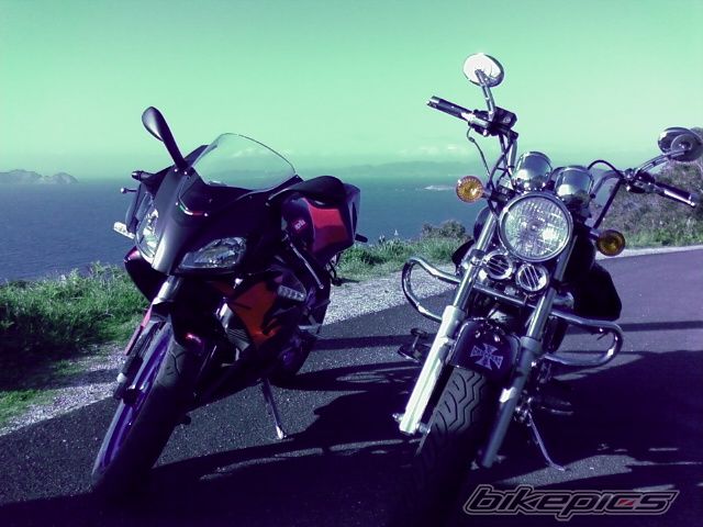 Photo 1279501