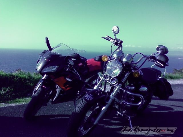 Photo 1279502