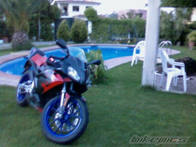 Photo 1279504