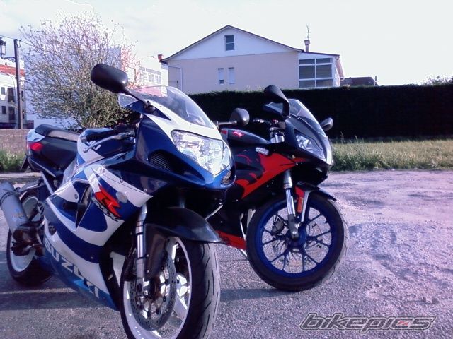 Photo 1279514