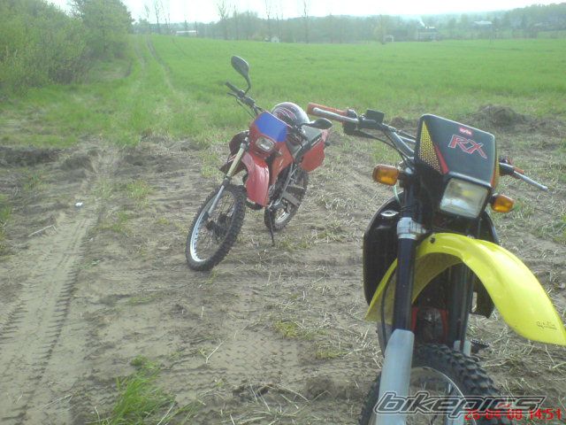 Photo 1279531