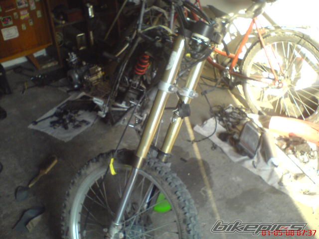 Photo 1279540